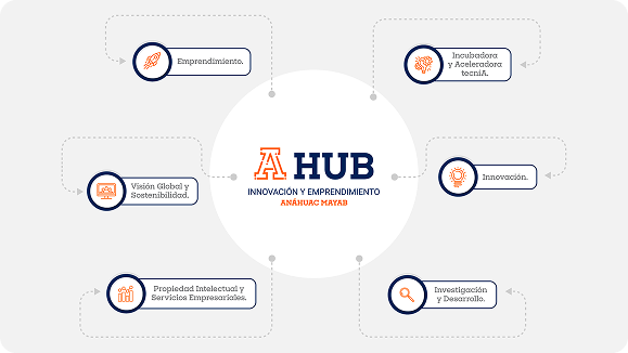 AHUB_Programas_2025_Mesa de trabajo 1 1