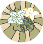linnco_icon