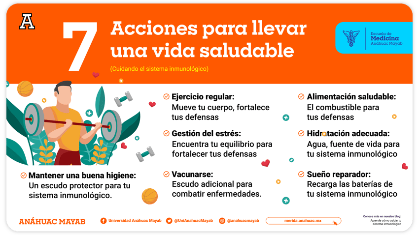 Infografía con 7 acciones para llevar una vida saludable