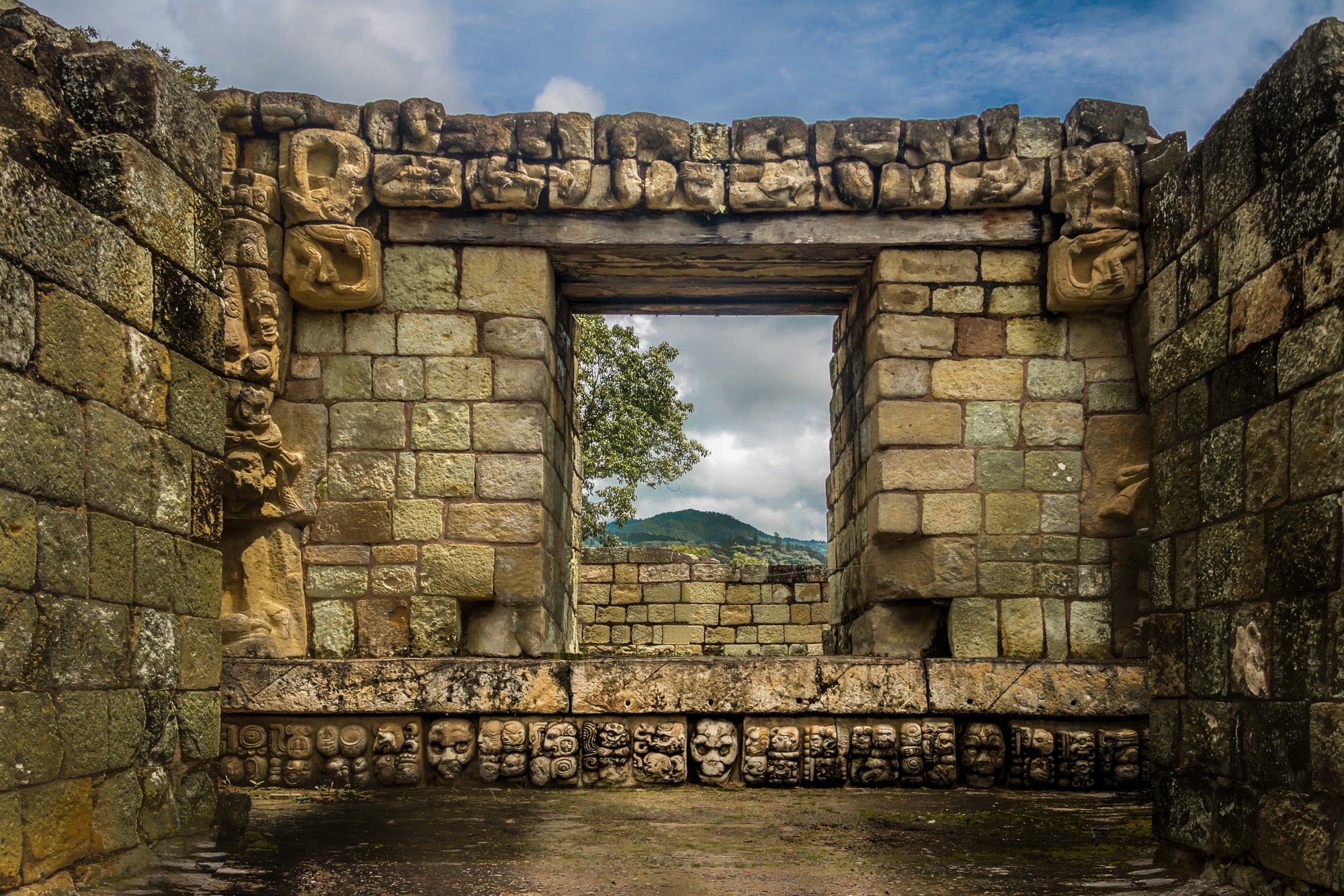 carved-detail-at-mayan-ruins-copan-archaeologica-2022-03-09-19-07-56-utc