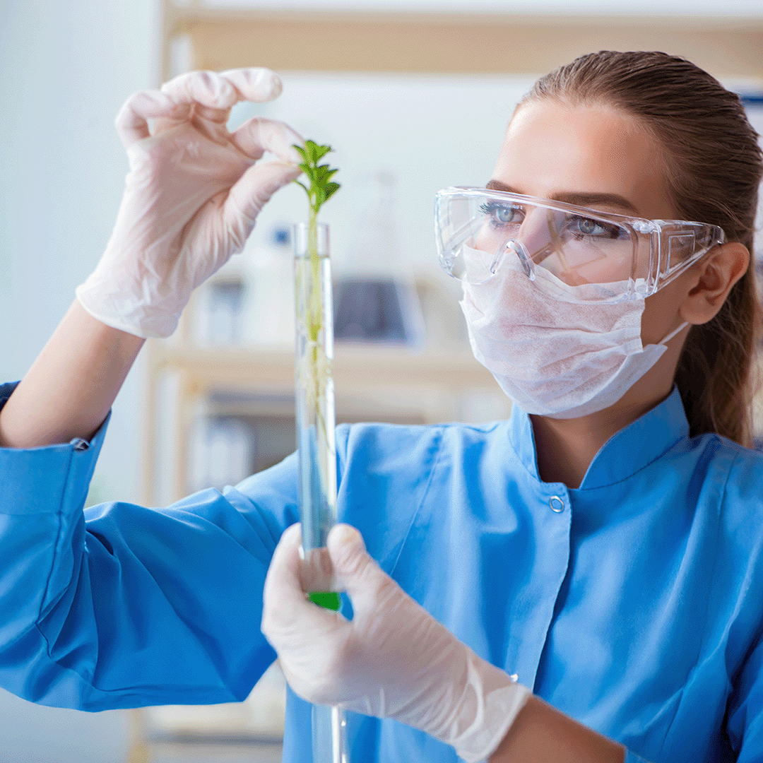 Web 2_biotec Web 2_biotec