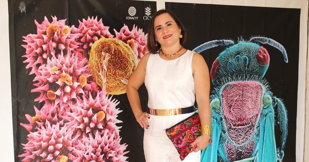 Sandra Andrade Fotografía Científica Concurso Carteles de Investigación Sandra Andrade Fotografía Científica Concurso Carteles de Investigación