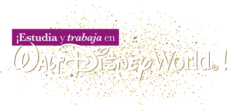 landing_disney-02-1