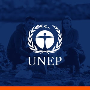 Programa de Naciones Unidas para el Medio Ambiente_Mayabmun_2021-01-min-compressed