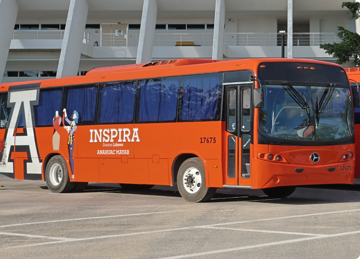 mayabus-bus