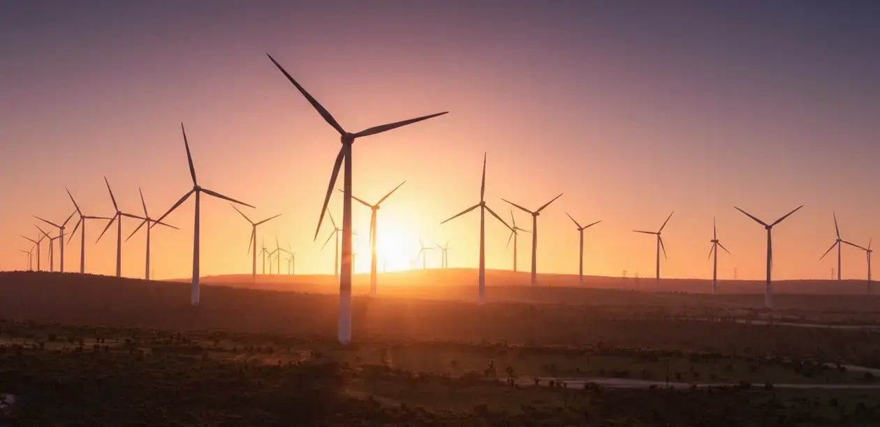 Parque eólico