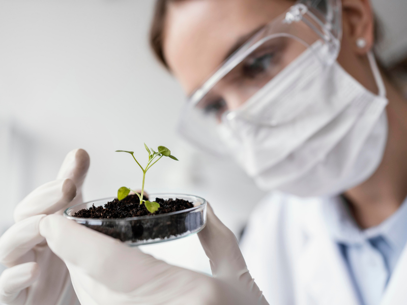 revolucion-genetica-agricultura