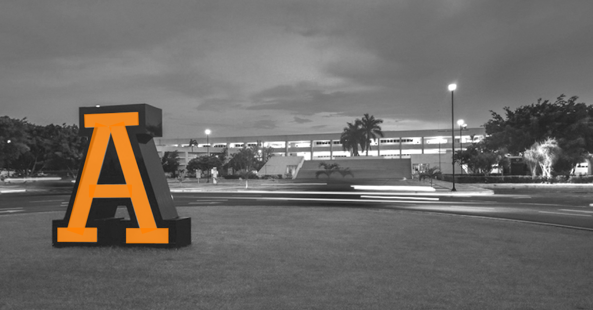 como conseguir trabajo al salir de la universidad