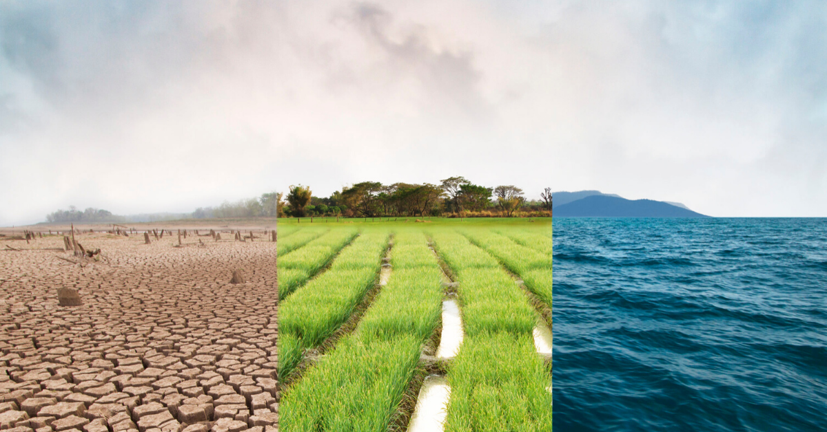 Estudia Energías Sustentables