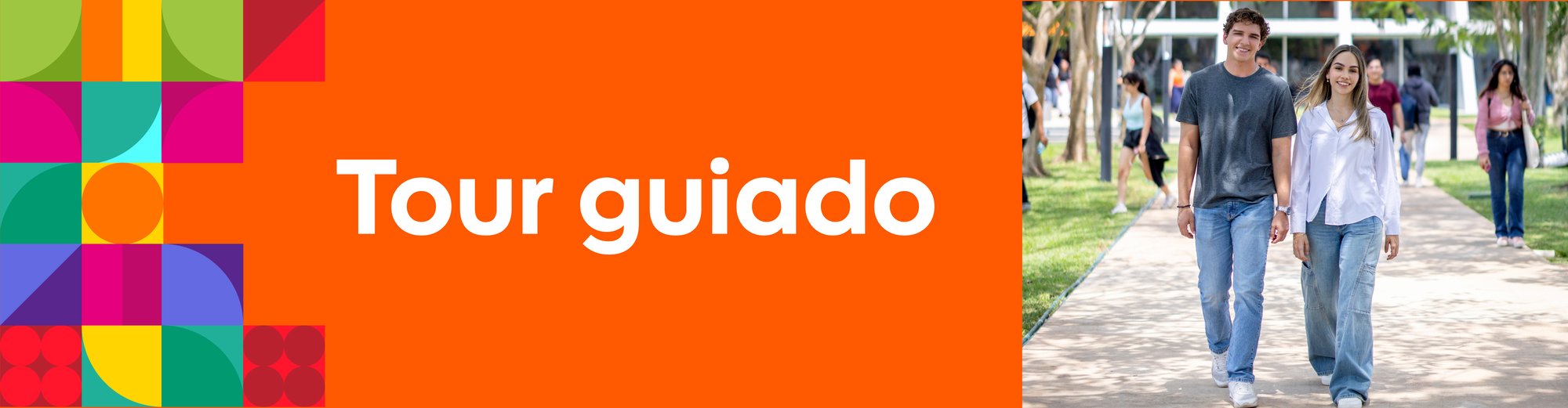 Tour Guiado