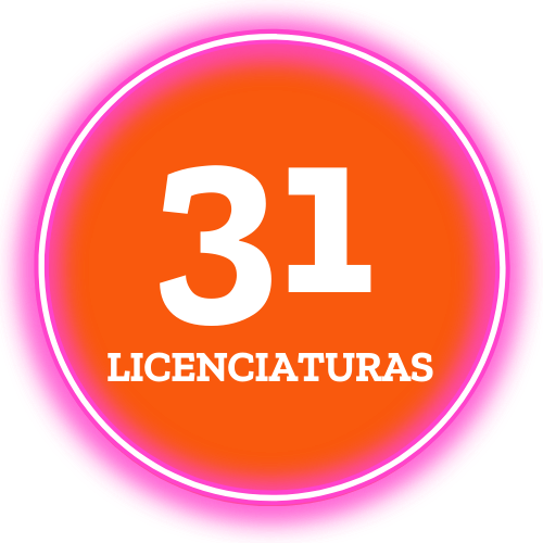 31 Licenciaturas