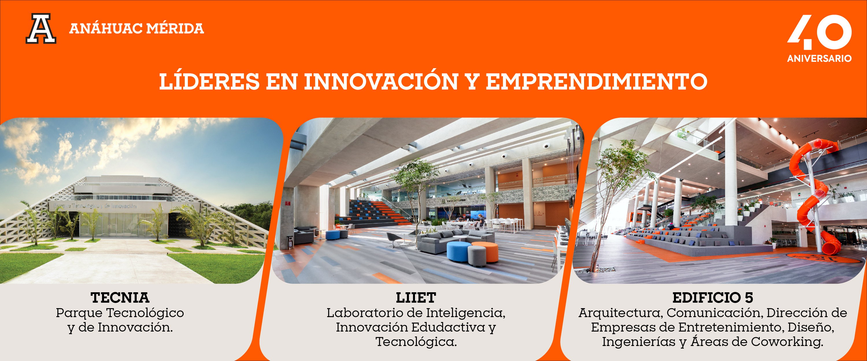 Líderes en innovación y emprendimiento