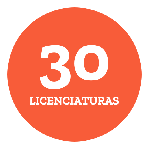 Licenciaturas