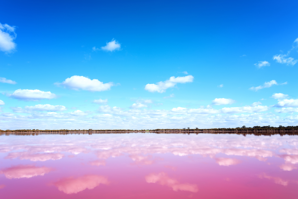 Las Coloradas