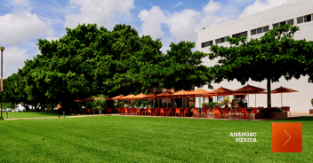 Enamórate de la universidad visitando un campus