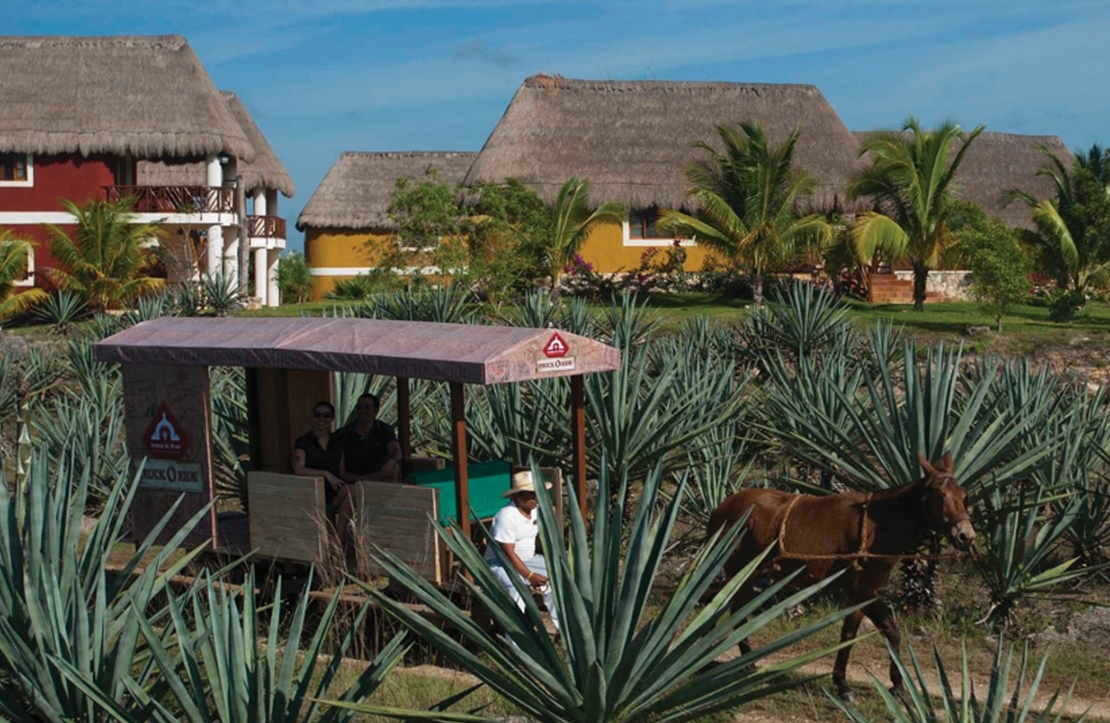 Hacienda Sotuta