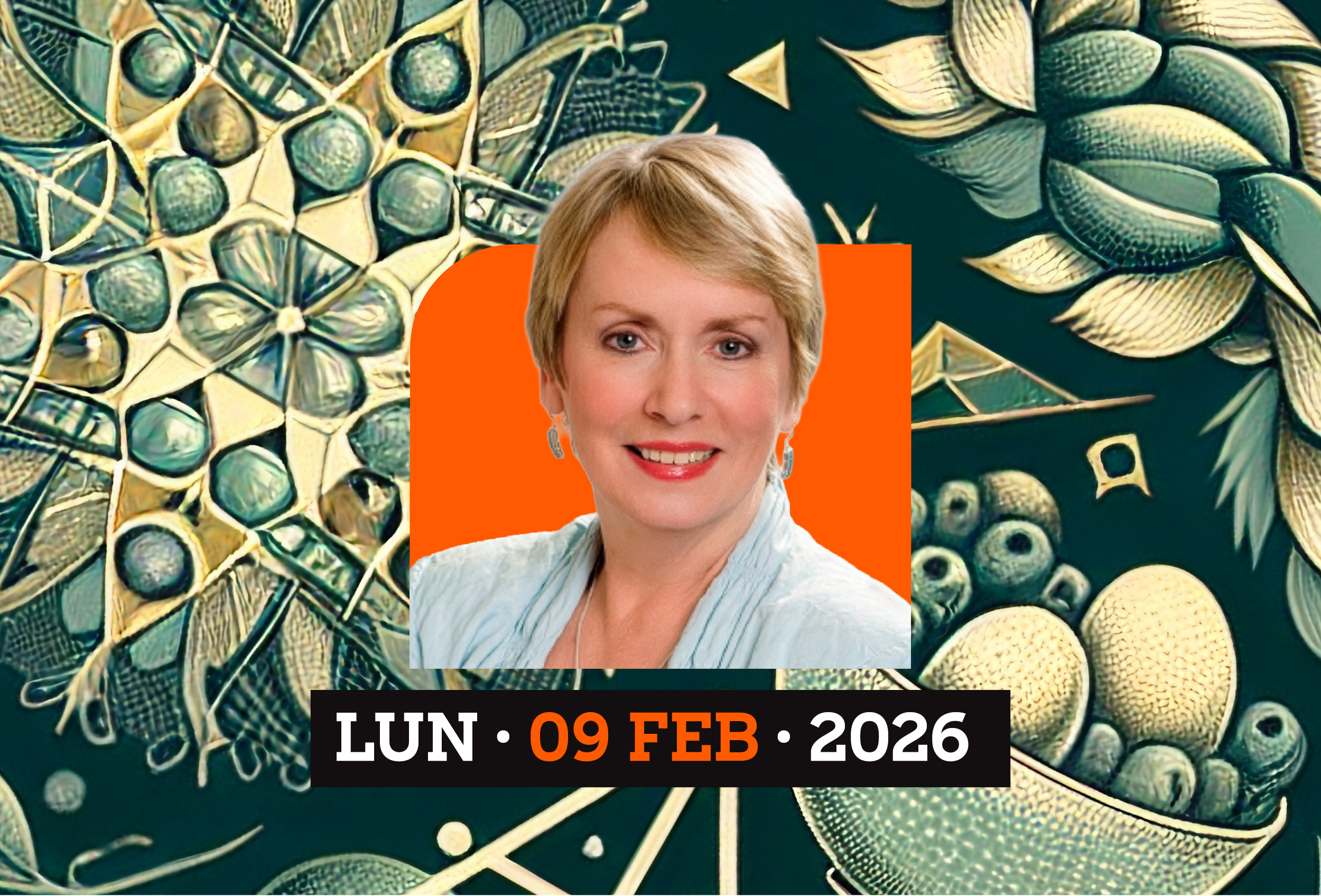 Miniatura del evento