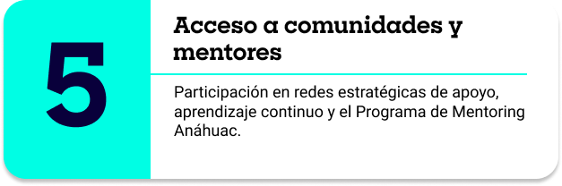 ruta4