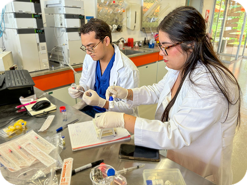 investigacion_imagen