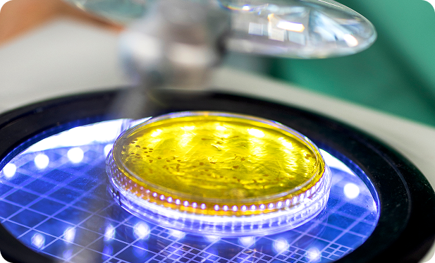 investigacion_proyectos