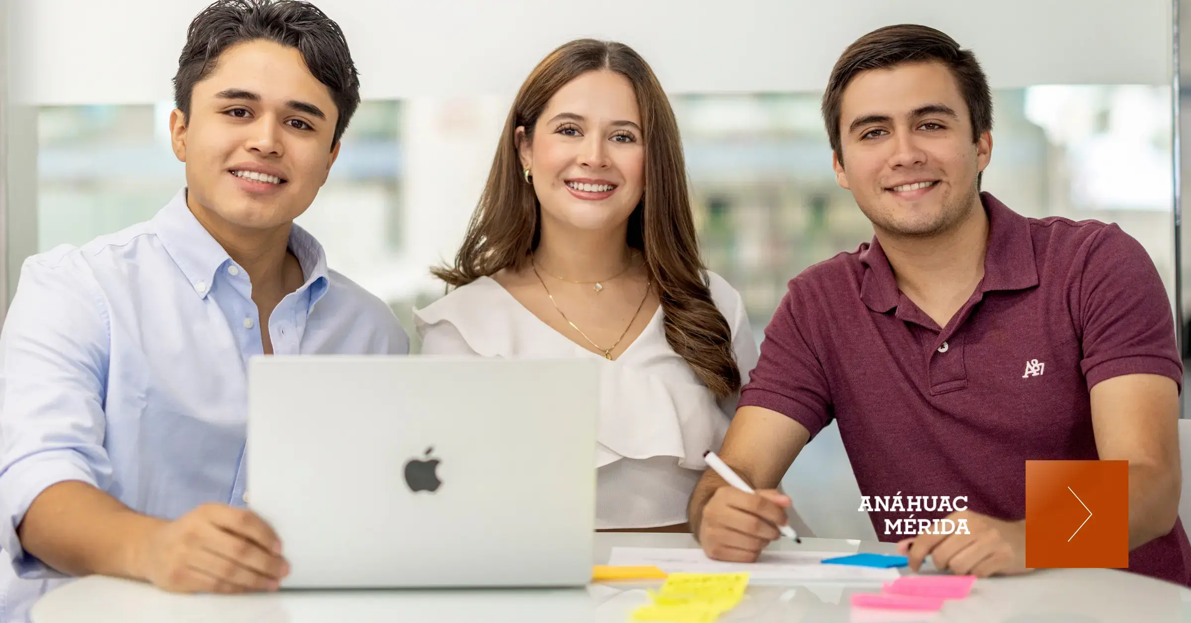 Carreras sobre negocios que debes conocer