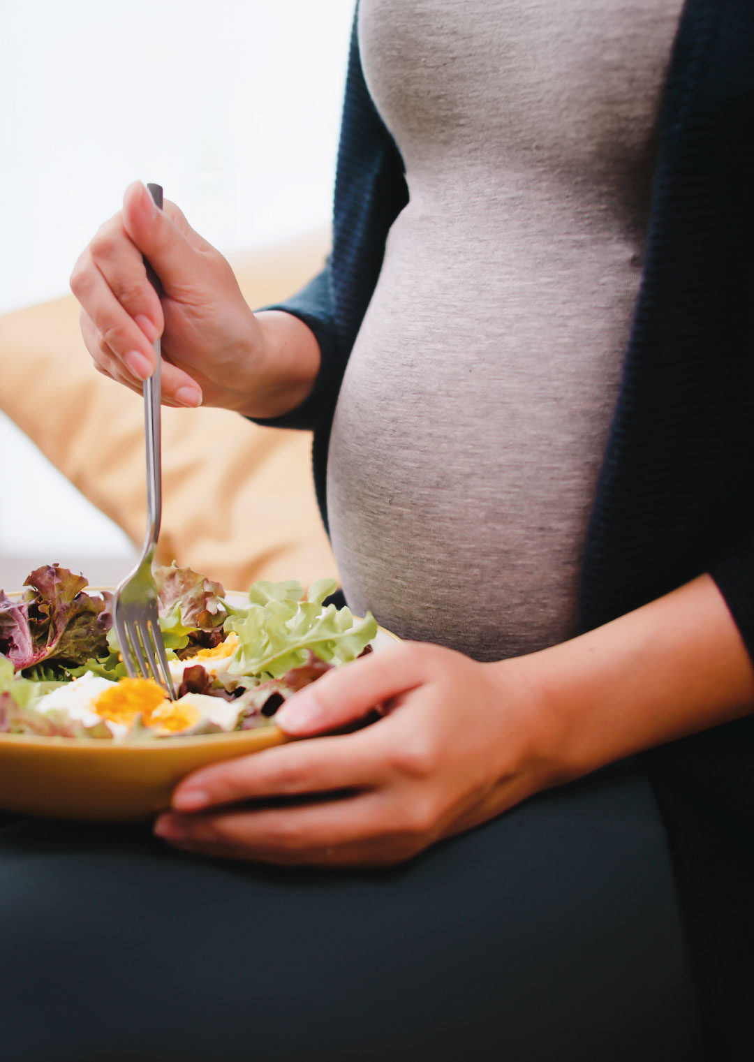 Web_Dip-Nutrición-Perinatal-y-de-la-Mujer3