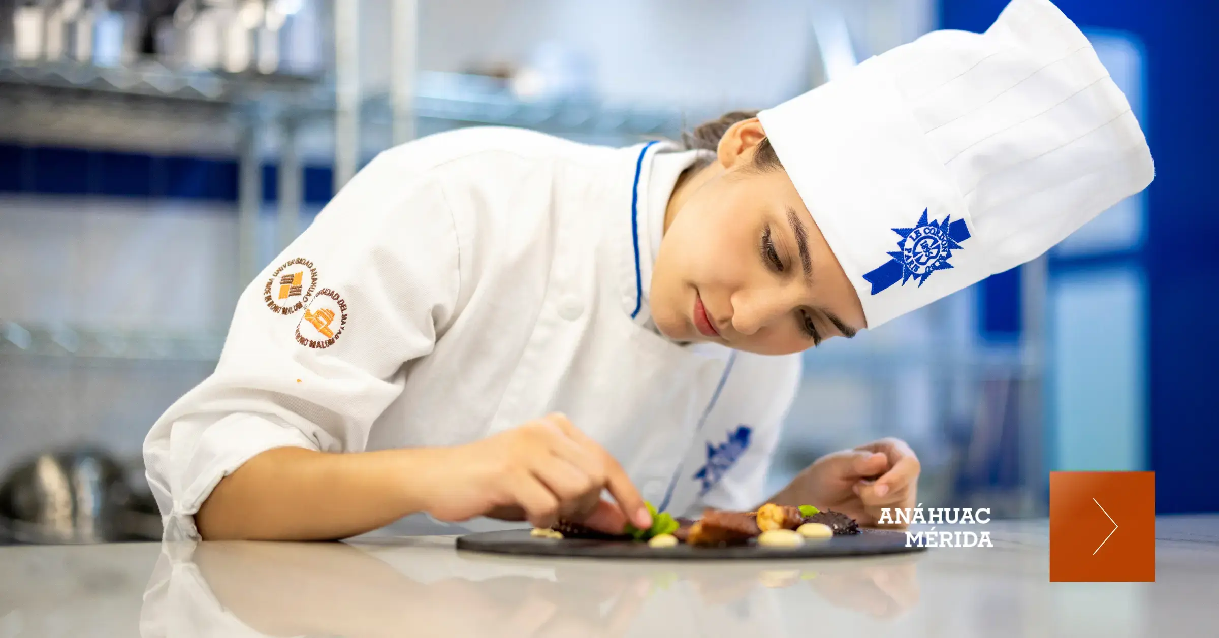 Escuelas de gastronomía: ¿Qué debes analizar antes de decidir dónde estudiar?