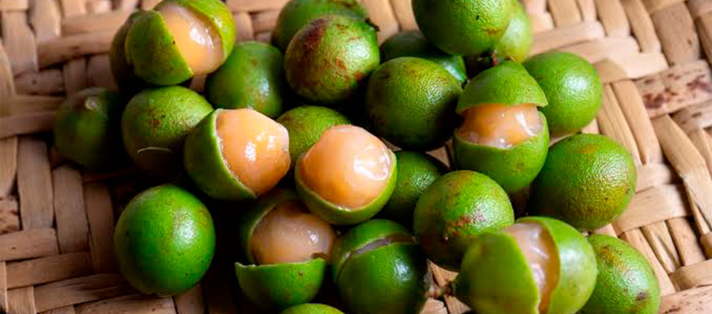 foto del articulo 7 frutos de Yucatán que quizá no conocías