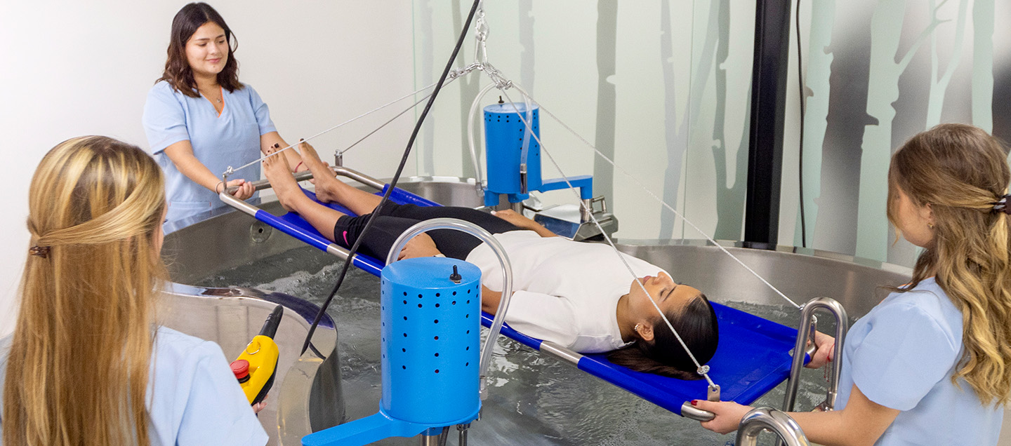 foto del articulo Terapia Física y Rehabilitación en la salud integral