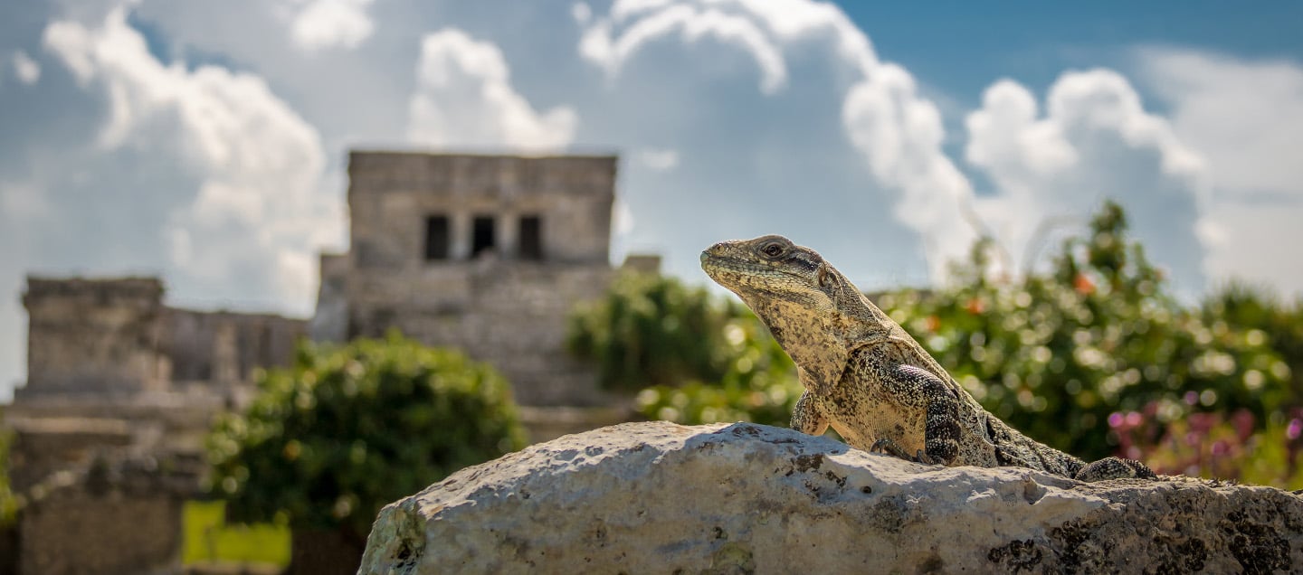 foto del articulo Anáhuac Mayab y CETUR fortalecen la inteligencia turística para impulsar el desarrollo de Yucatán