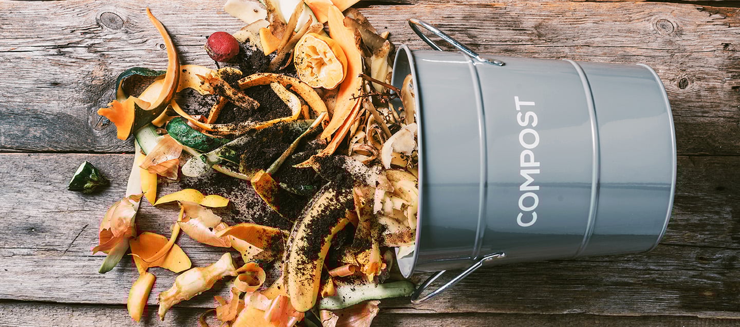 foto del articulo Promueven manejo de composta para un campus más sostenible