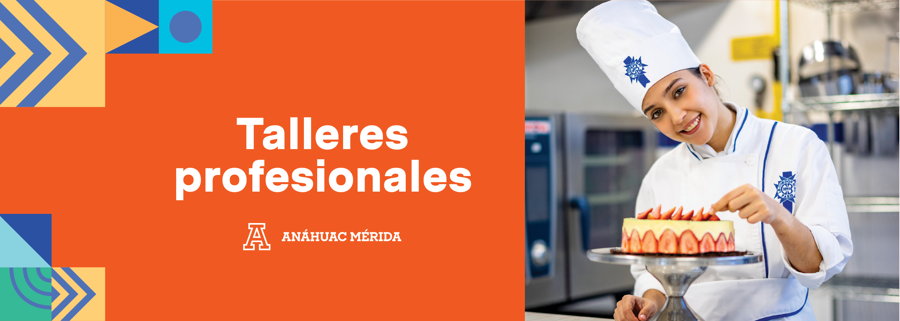 Talleres profesionales