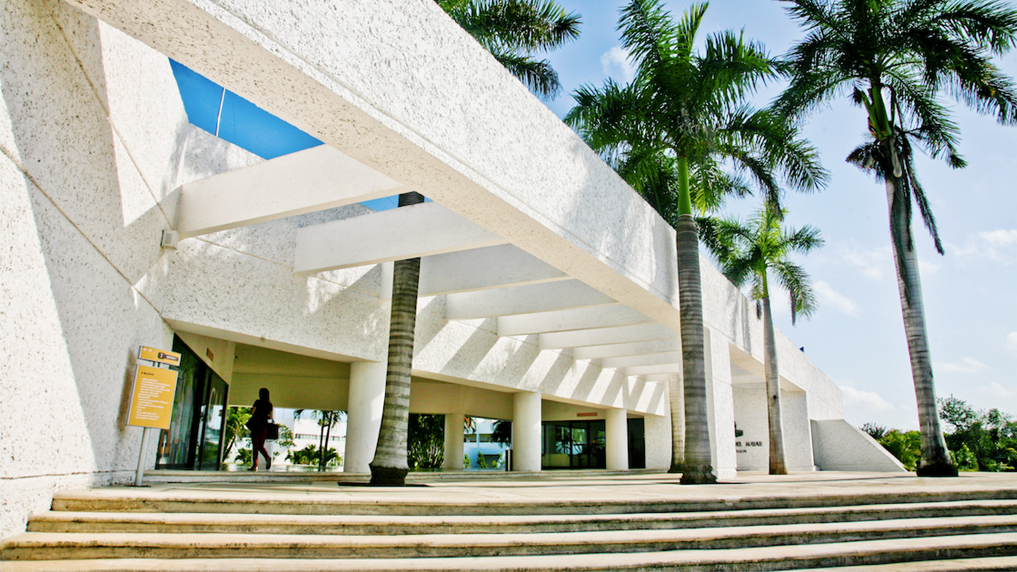 ¿Por qué la anáhuac mayab?