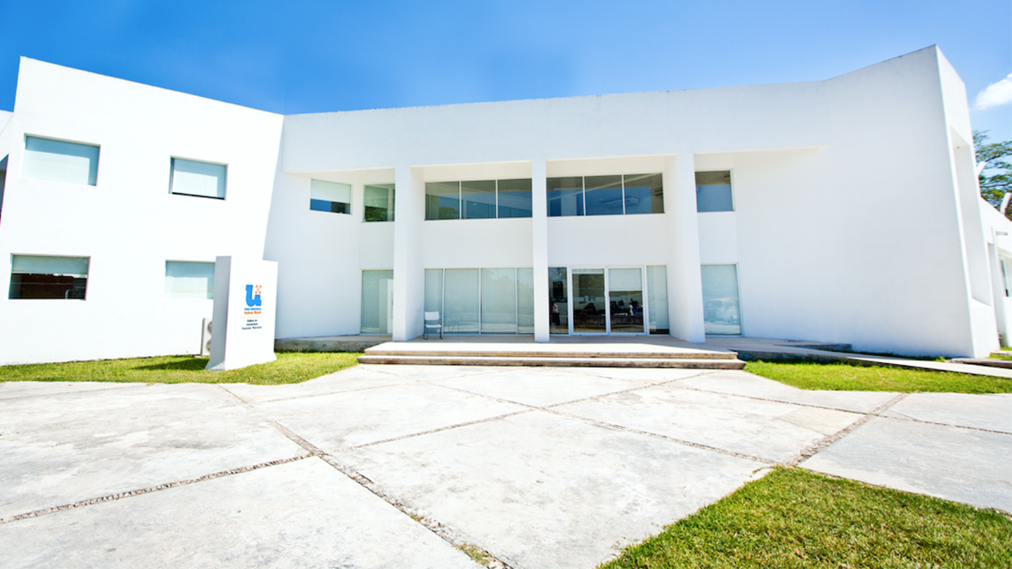 ¿Por qué la anáhuac mayab?